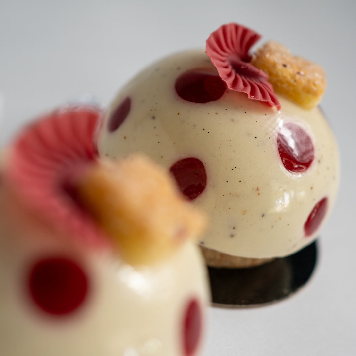 Close-up of a dessert with white cream, red berries, and cake elements on a white background