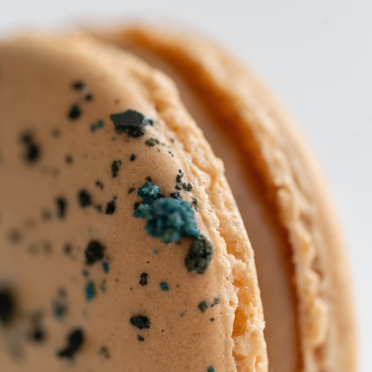  Earl Grey French macaron handcrafted at Yann Haute Patisserie in Calgary.