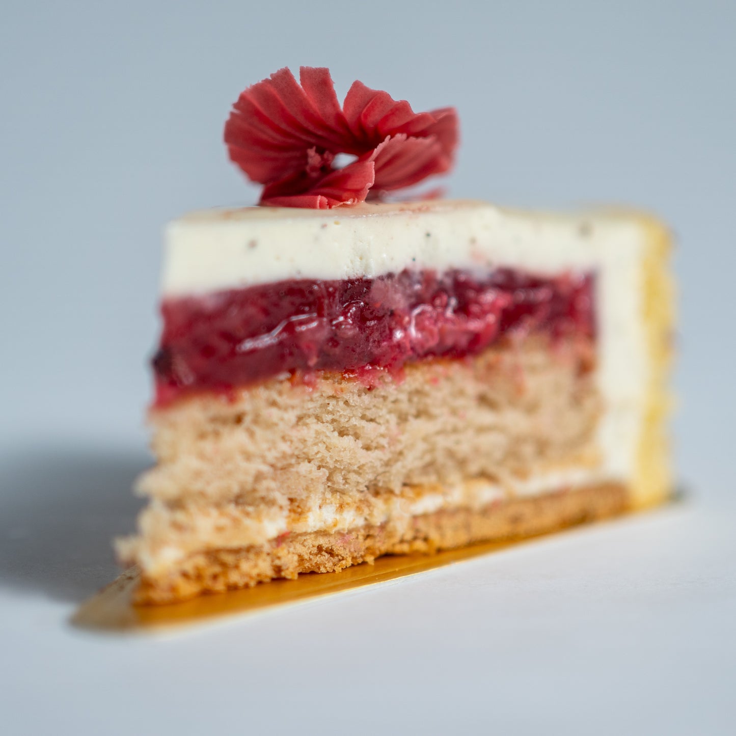 Slice of cake with red berry filling and a berry Valrhona chocolate on top against a light gray background