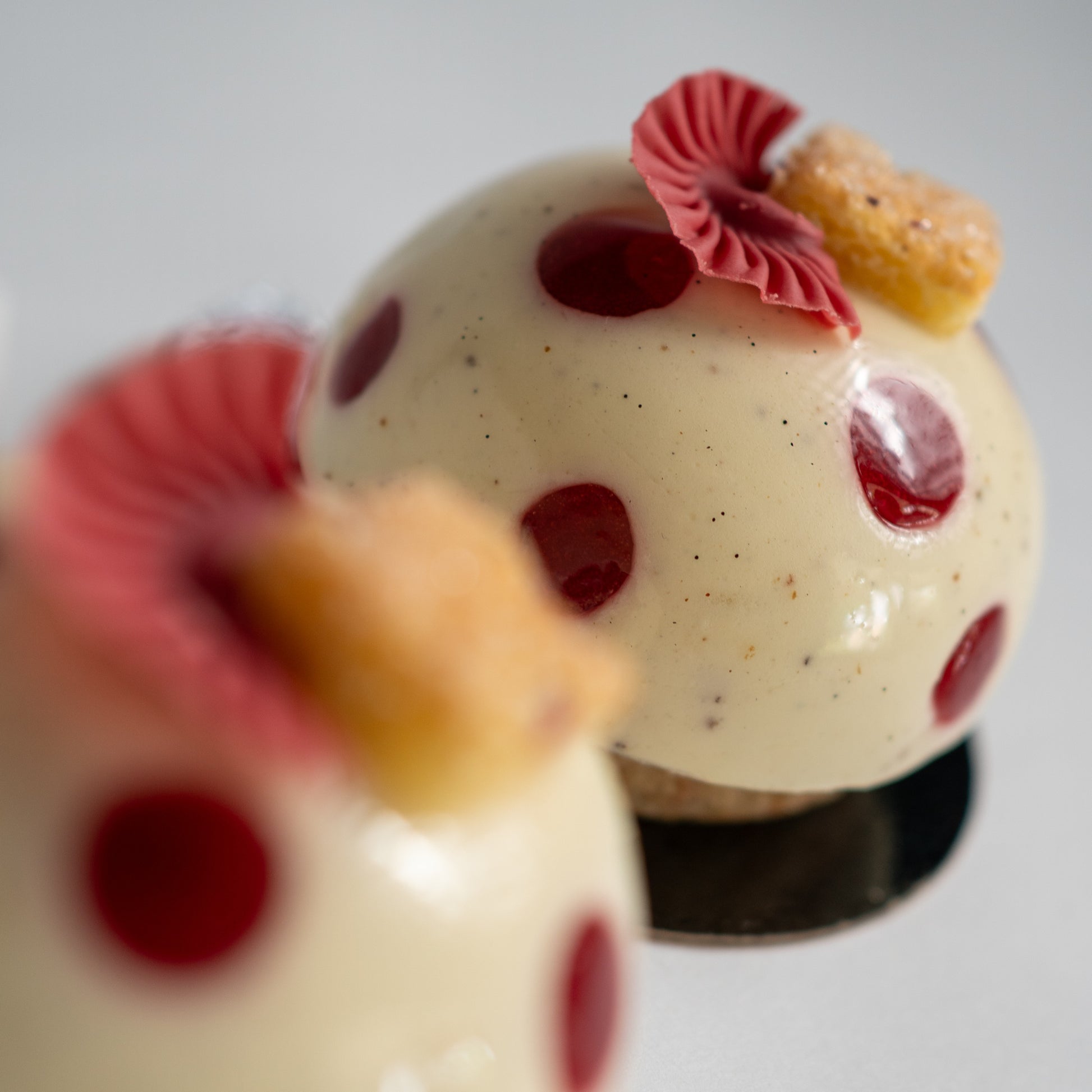 Close-up of a dessert with white cream, red berries, and cake elements on a white background