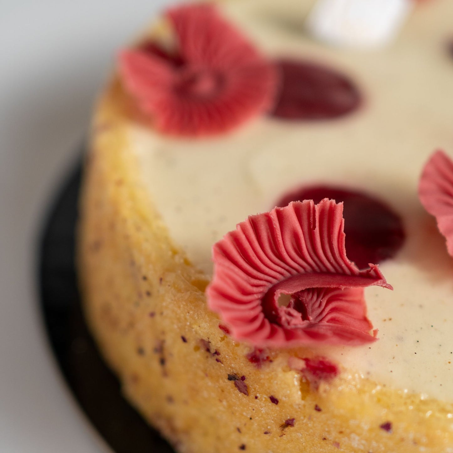Close-up of a cake with pink Valrhona chocolate decorations on a white background