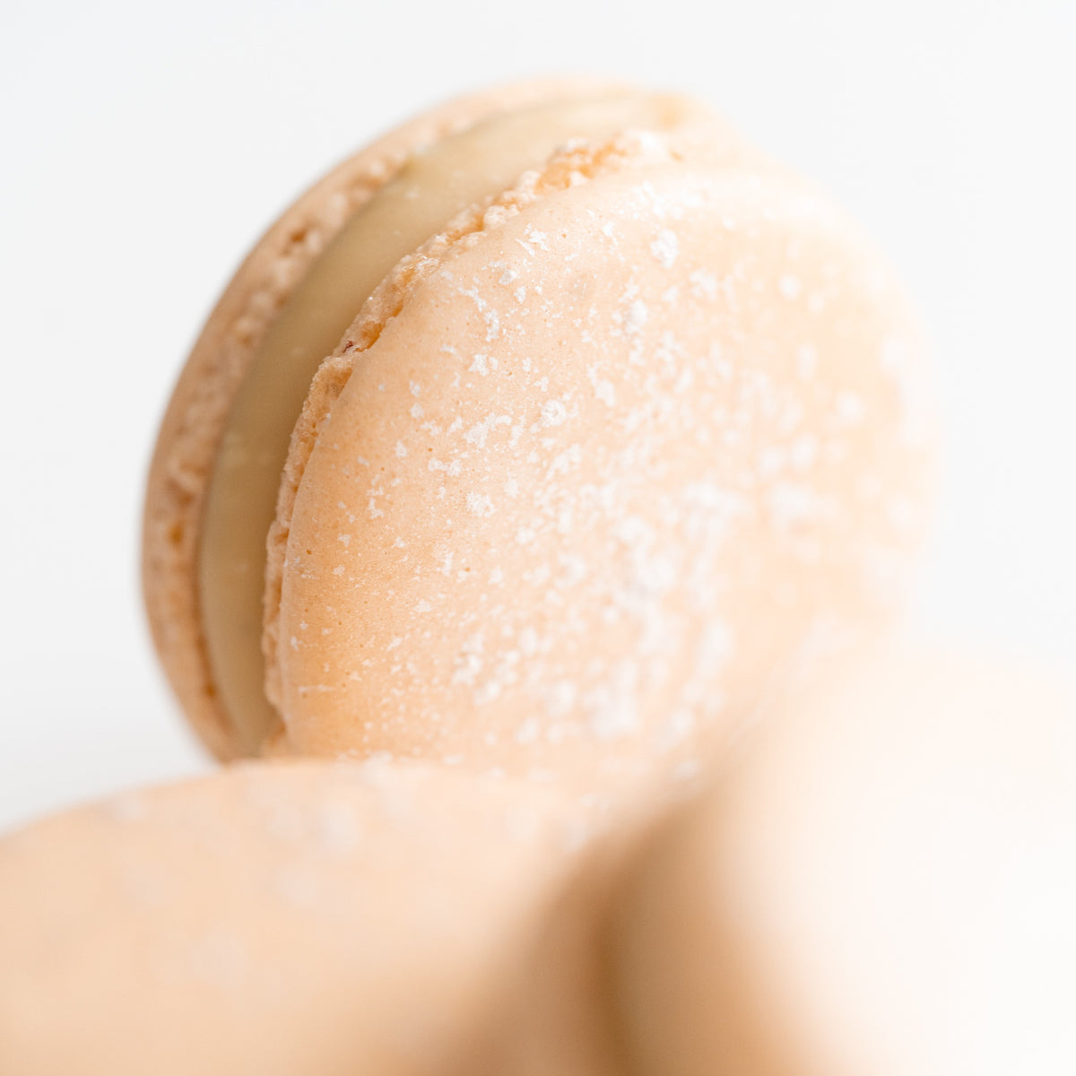 Jasmine French macaron handcrafted at Yann Haute Patisserie in Calgary.