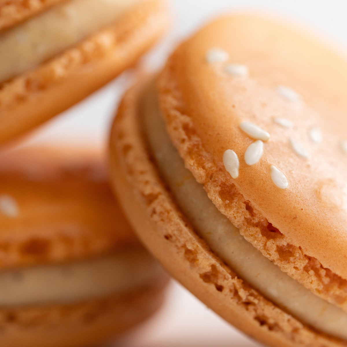 Pumpkin Cheesecake French macaron handcrafted at Yann Haute Patisserie in Calgary.